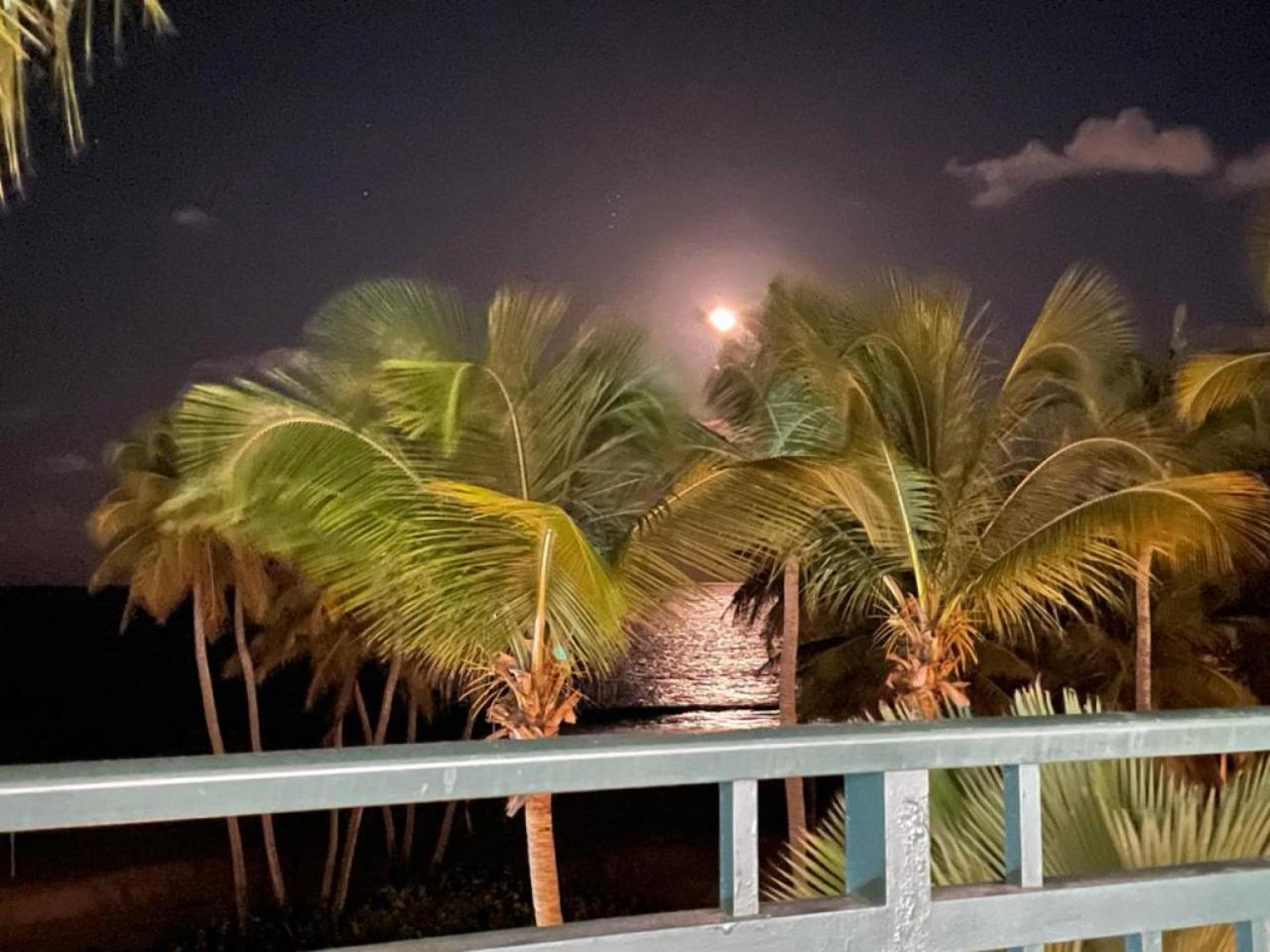Beachfront Luxury 2 Bedroom At Wyndham Rio Mar, Pr Luquillo Exteriör bild