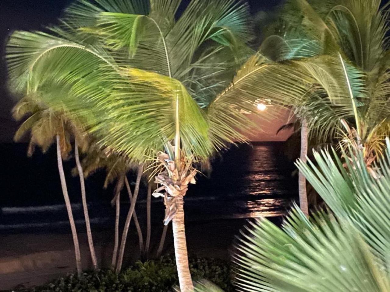 Beachfront Luxury 2 Bedroom At Wyndham Rio Mar, Pr Luquillo Exteriör bild