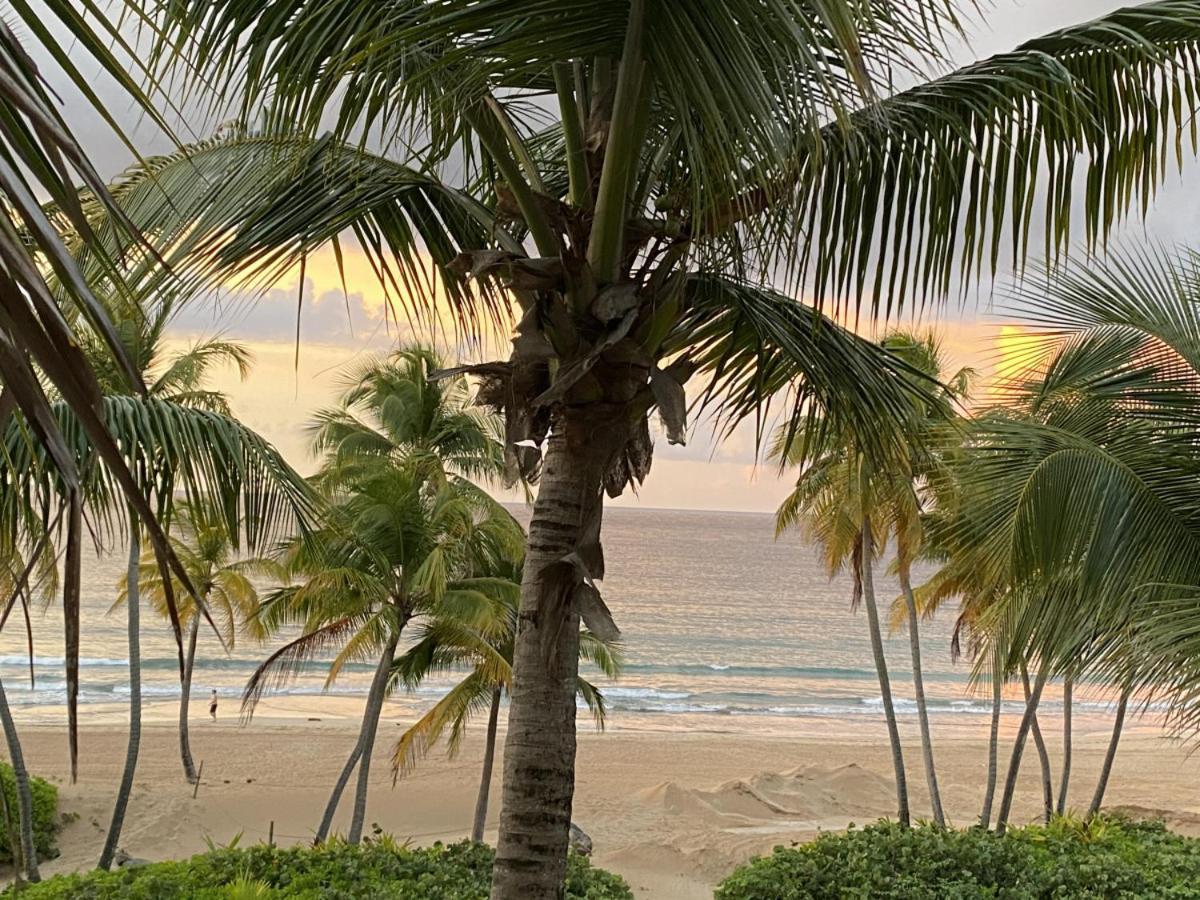 Beachfront Luxury 2 Bedroom At Wyndham Rio Mar, Pr Luquillo Exteriör bild